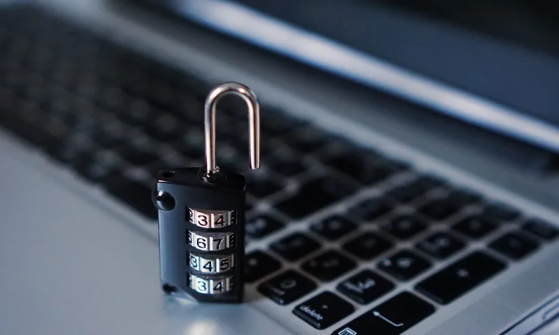 Security Auditing & Pen Testing